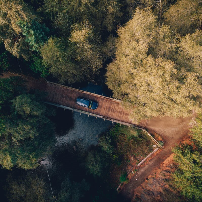 Vision